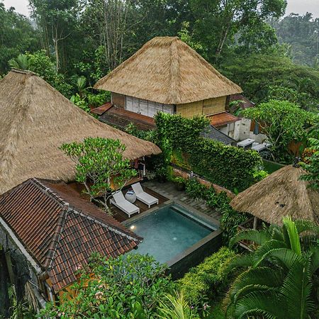 Villa Bedauh Ubud Bagian luar foto